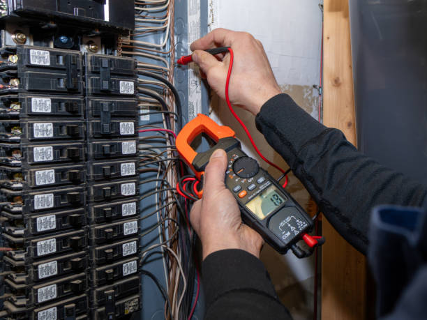 Best Electric Panel Repair  in Brownsville, FL